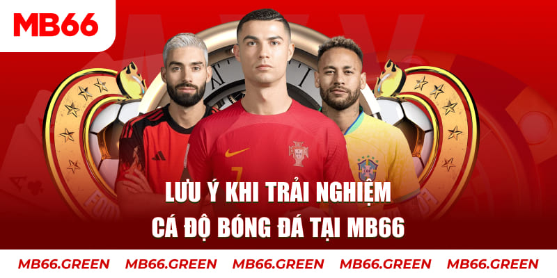 nohu 78 Ba viên xúc xắc