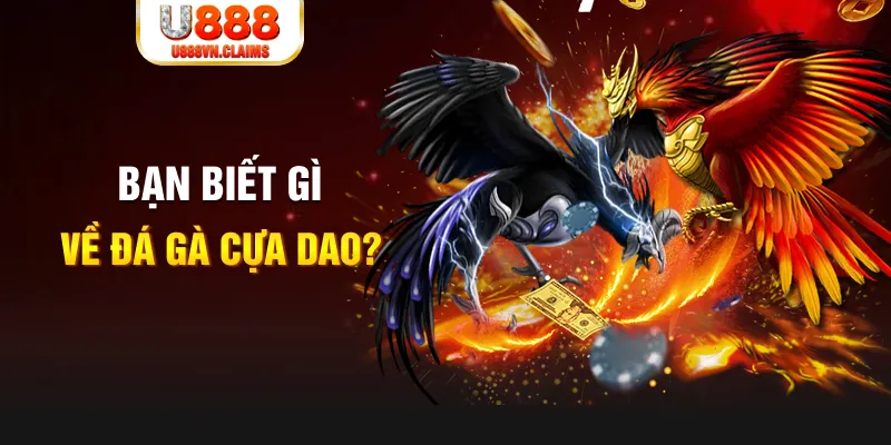 nohu 78 SW Xổ Số