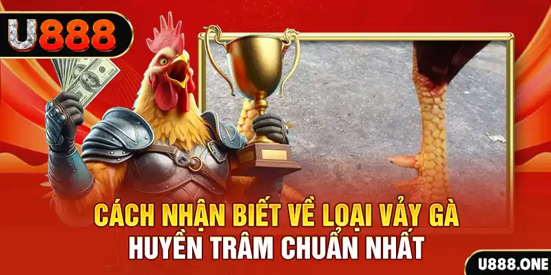 nohu 78 đăng nhập nổ hũ số 1