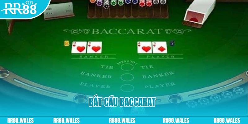 nohu 78 what are the best online casino games