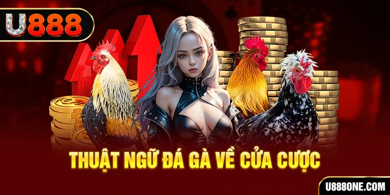 nohu 78 hơn cả bạn bè