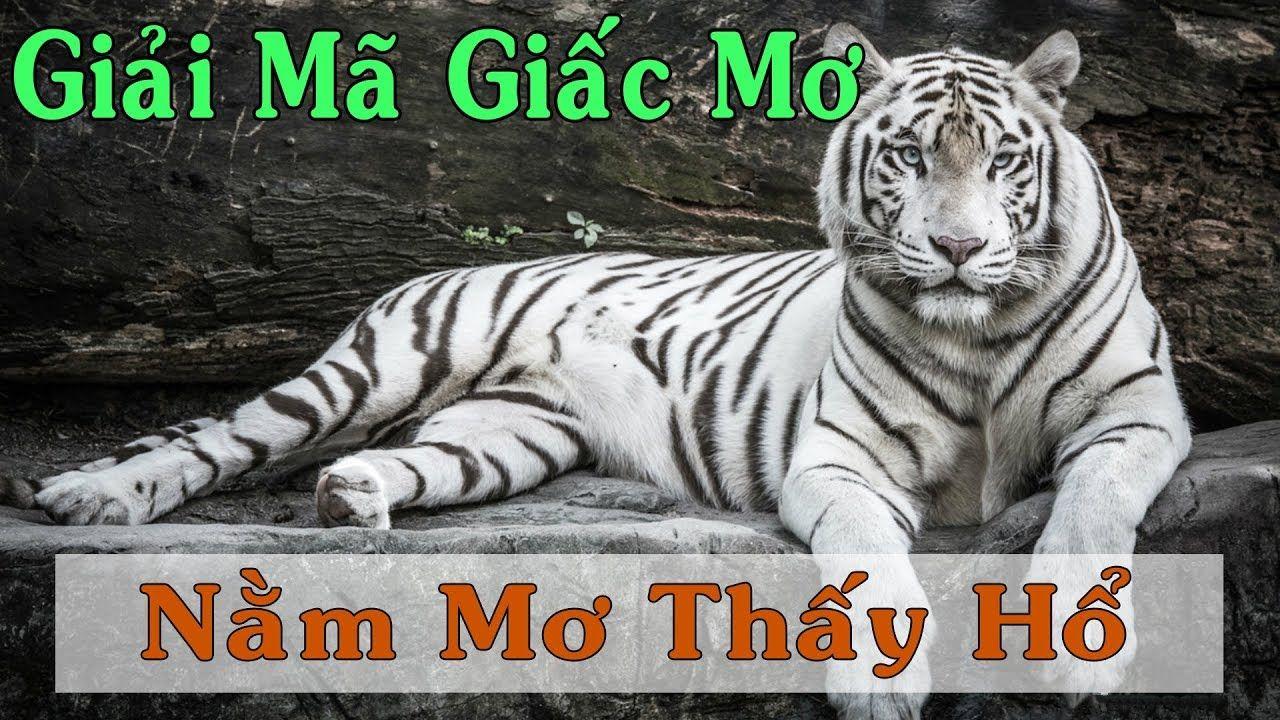 nohu 78 nổ hũ là game gì