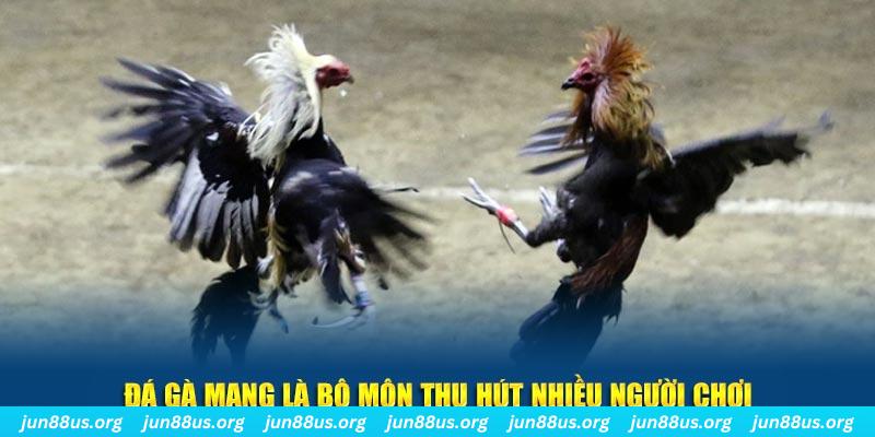 nohu 78 nổ hủ nghĩa là gì