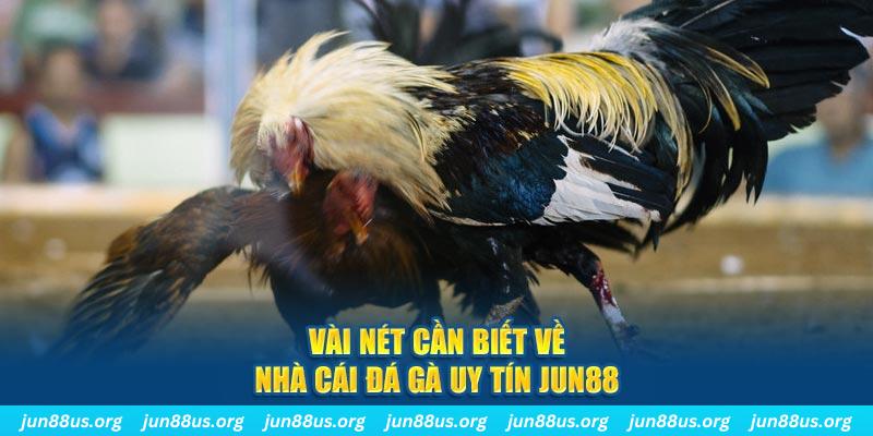nohu 78 đăng nhập phỏm khuyến mãi