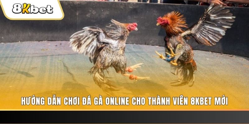 nohu 78 JILI Game Bài 3d