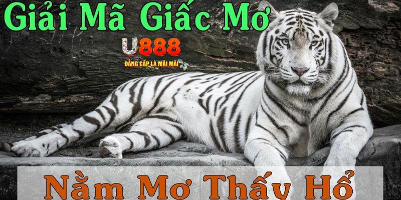 nohu 78 xổ số miền bắc xổ số miền bắc