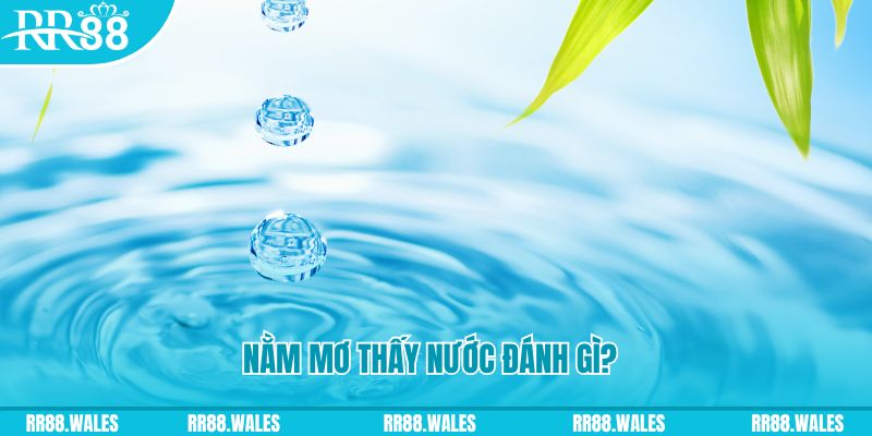 nohu 78 TCG Xổ Số