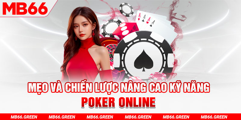 nohu 78 chổi lông gà