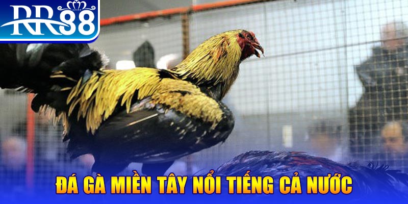 nohu 78 xổ số đại phát