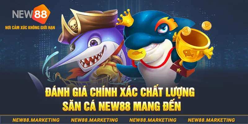 nohu 78 đăng nhập mậu binh mới nhất