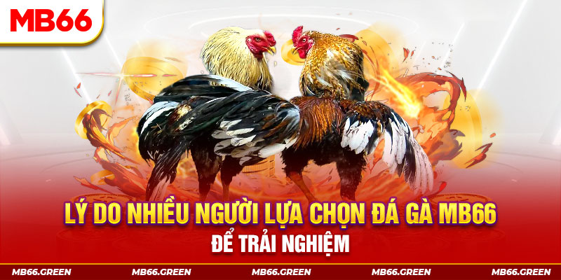 nohu 78 đăng nhập liêng trực tiếp