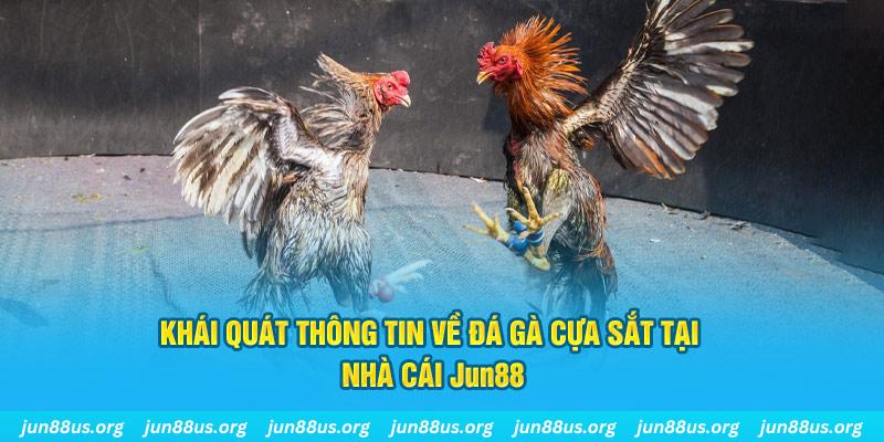 nohu 78 xổ số miền bắc thứ bảy hàng tuần