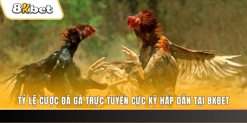 nohu 78 đăng nhập nổ hũ trực tuyến