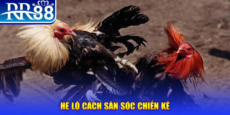 nohu 78 xổ số miền trung thứ tư