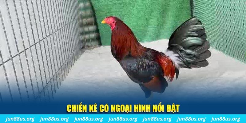 nohu 78 game bắn cá