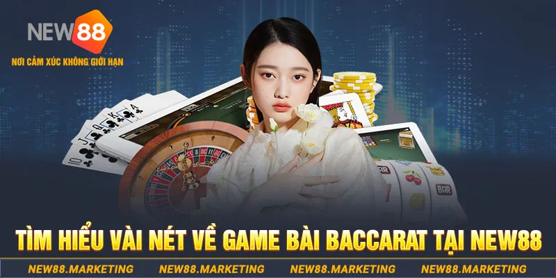 nohu 78 gà chọi c1 ô taxi