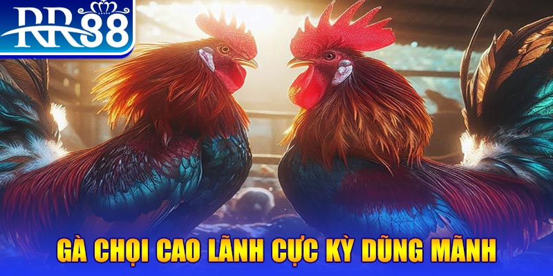 nohu 78 HB Điện Tử